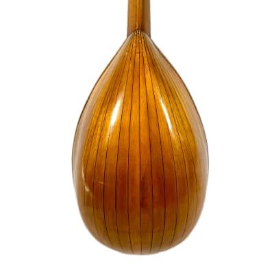 Concert Mandolin Emanuele Egildo N°299 from 1912 image 10