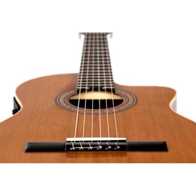 Ortega RCE180GT - Thinbody Acoustic Electric - Made in Spain - Natural image 5