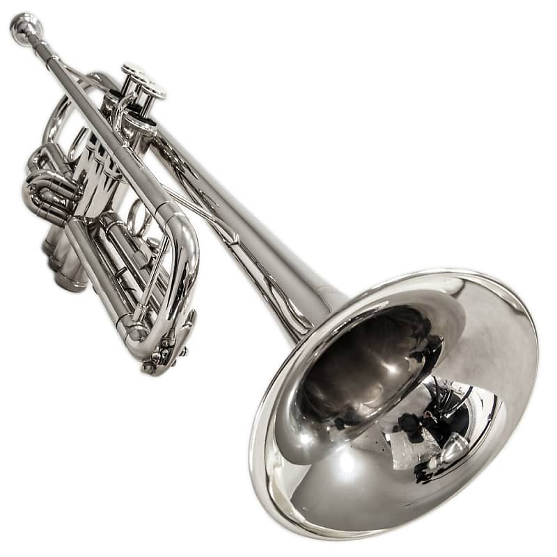 Sky Band Approved Nickel Plated Bb Trumpet with Case, Cloth, Gloves and  Valve Oil
