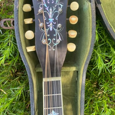 orpheum no. 1 banjo mandolin | Reverb