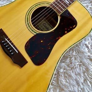 Cortez JG 6700 1970s Acoustic Guitar image 5