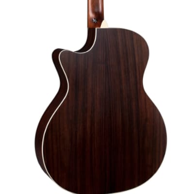 Martin GPC-16E 16 Series with Rosewood Grand Performance Acoustic-Electric Guitar image 2