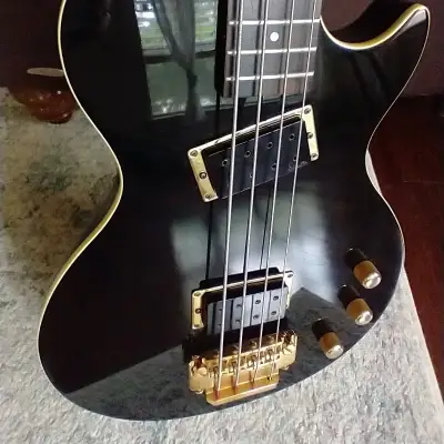 Kawai / Schaller Rockoon Bass image 3