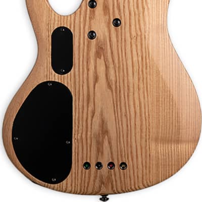 ESP LTD B-204SM FL Spalted Maple Fretless Bass Guitar, Natural Satin image 3