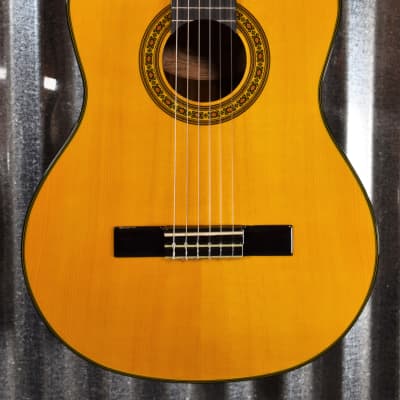 Washburn Guitars C40 Classical Nylon String Guitar & Bag #0087 image 1