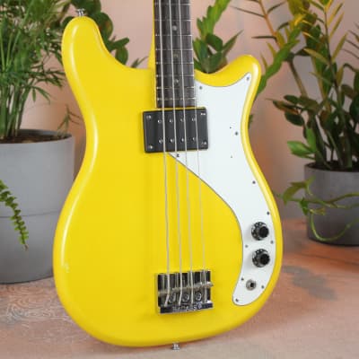 Epiphone Newport Bass 1966 Yellow *Video Demo* image 4