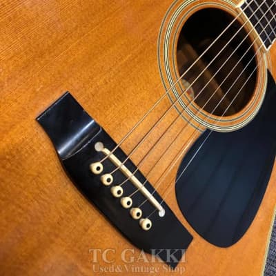 タカミネギターPALATHETICピックアップ搭載モデル PT-06E Takamine PT-06E - フレット交換、ナット交換、弦高調整、ネック
