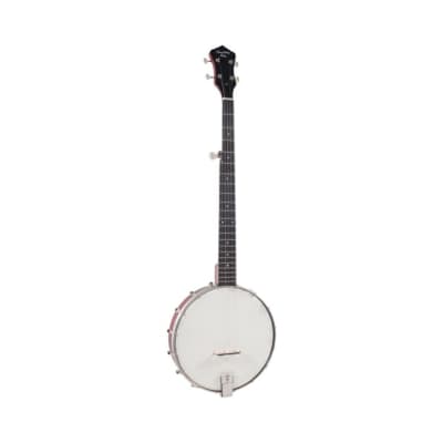 Recording King Dirty 30's Open Back Banjo image 1