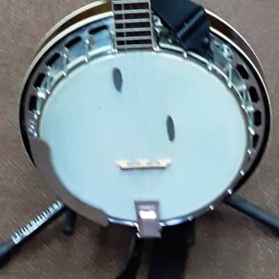 Pre-Loved Epiphone 5 string Banjo (with Hard Case) image 4