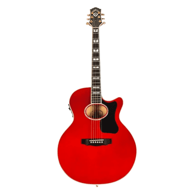 Guild USA エレアコ　f65ce 1997年中古現状品　ワンオーナー Guild USA F-65CE | Reverb