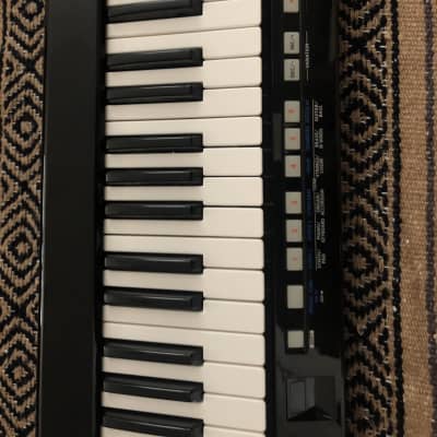Roland Lucina AX-09 Keytar Synthesizer image 4