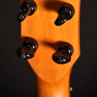 Oli L2-TMG Tenor Mango 2025 - Natural Highgloss image 8