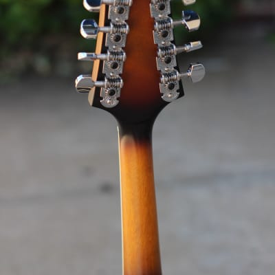 Pilgrim Vintage A-Style Redwood Mandolin image 8