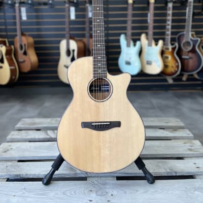 Ibanez AEG200-LGS Grand Concert 2023 - Natural Low Gloss for sale