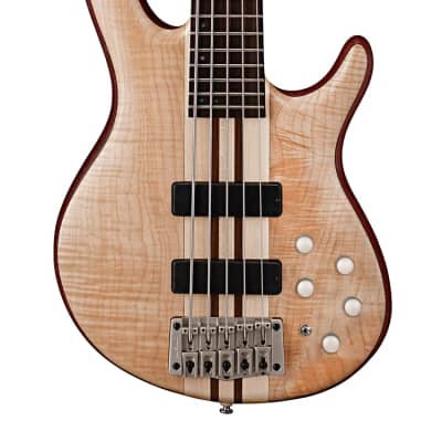 Cort A5 Plus FMMH OPN Artisan Series Figured Maple/Mahogany 5-String Bass 2010s - Open Pore Natural  ***In Exhibition*** imagen 1