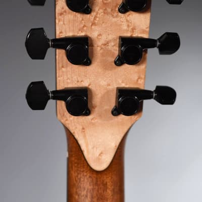 Pellerin Guitars Eclipse image 7