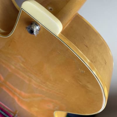 Fender D'Aquisto Standard 1984 - 1987 - Natural (Read Description) image 15