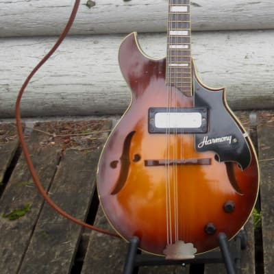 Harmony H35 electric mandolin 1967 Sunburst image 11