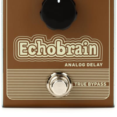 TC Electronic Echobrain Analog Delay Pedal | Reverb