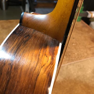 Larson Brothers Maurer Early 1900's. Brazilian Rosewood. Video. image 6
