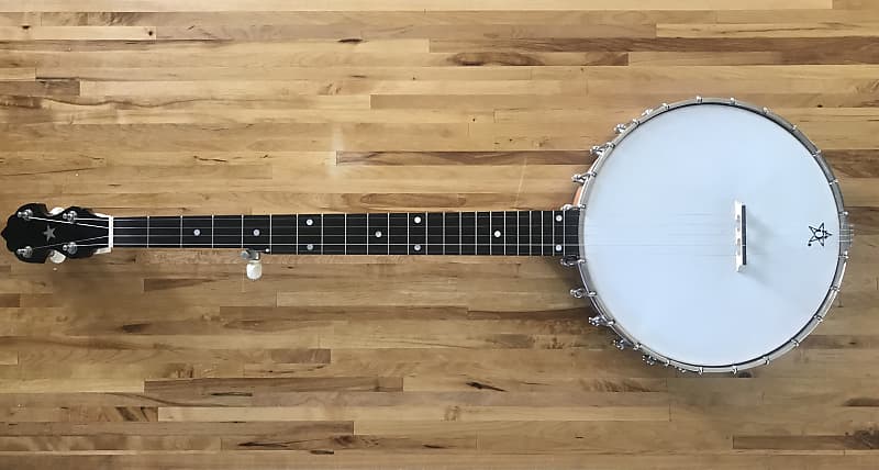 Bart reiter store banjo for sale