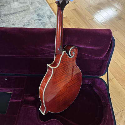 Eastman 815 2022 - Gloss image 10
