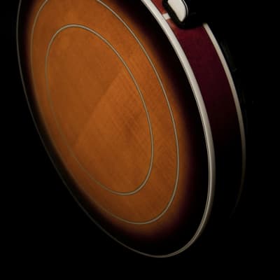 Washburn B16K Americana Series Maple Neck Wood 5-String Banjo w/Remo Head & Hardshell Case image 8