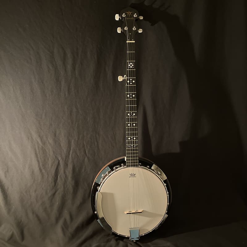 Danville 5String Resonator Banjo Excellent Condition Reverb
