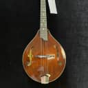 New Eastman MD505 A Style Mandolin Free Shipping Hard Eastman Case