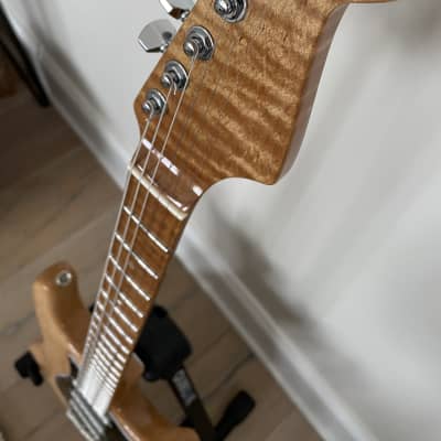 Fender American Professional Stratocaster with 5A Flame Roasted Maple Neck image 2