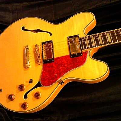 KARERA 335-Style Semi-Hollow Body Electric Guitar *BEAUTIFUL with WARM-TONE & *FREE Hard-Shell Case!!! image 10