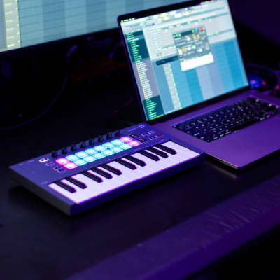 Novation FLkey Mini image 8