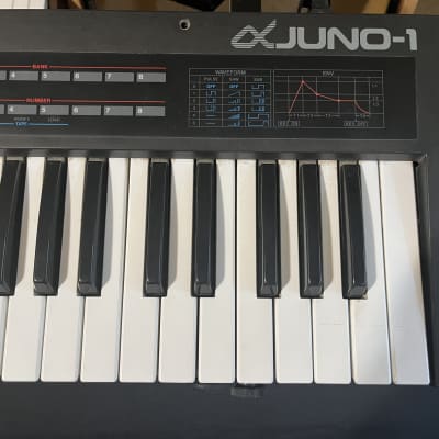 Roland Alpha Juno-1 49-Key Programmable Polyphonic Roland Alpha Juno-1 49-Key Programmable Polyphonic
