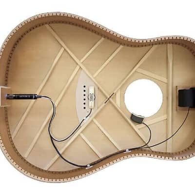 LR Baggs Anthem SL Soundhole Microphone/Undersaddle Acoustic Guitar Pickup image 3