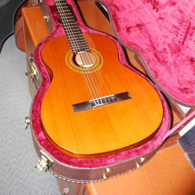 2012 New World Bubinga Model Classical Guitar Truss Rod New Strings Deluxe Original Hard Case image 14