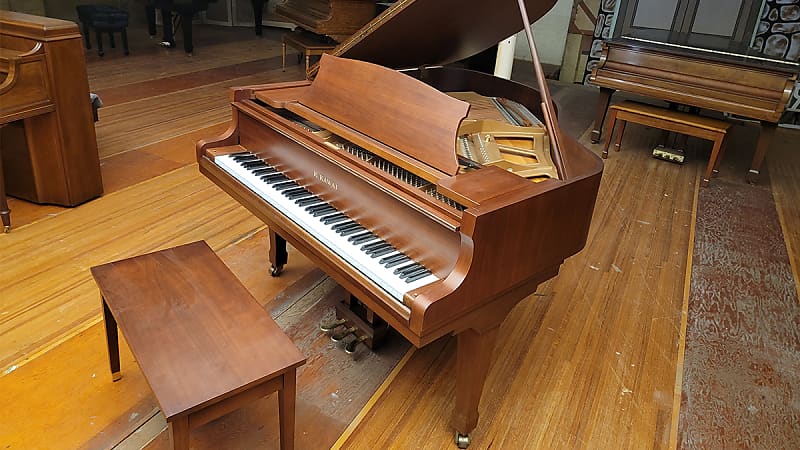 Kawai kg1 2024