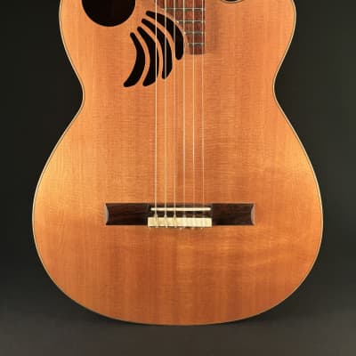 2001 Jamon Zeiler "The California Condor" Acoustic/Electric Nylon String Guitar for sale