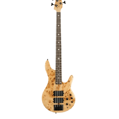 Warwick RockBass Infinity 4 | Reverb