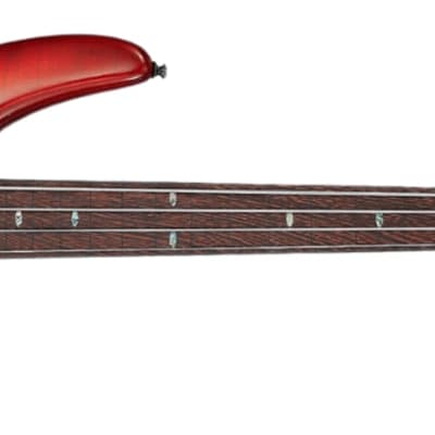 Ibanez SRD900 Fretless 4-String Exotic Maple Electric Bass, Panga Panga Fingerboard, Brown Topaz Burst image 2