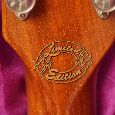 Gibson ES-335 Limited Edition @ Nashville Custom Shop RARE Double Black Binding image 10