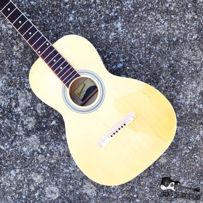 Luthier Speical: Savannah SGP-12-NA Acoustic Guitar Husk (2010s - Natural) image 1