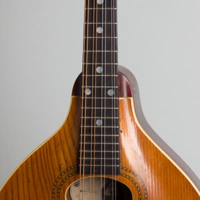 Gibson  Style A-1 Carved Top Mandolin (1910), ser. #9441, original black hard shell case. image 8