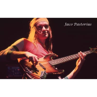 Fender Jaco Pastorius Signature Fretless 4-String Jazz Bass - 3-Color Sunburst image 9