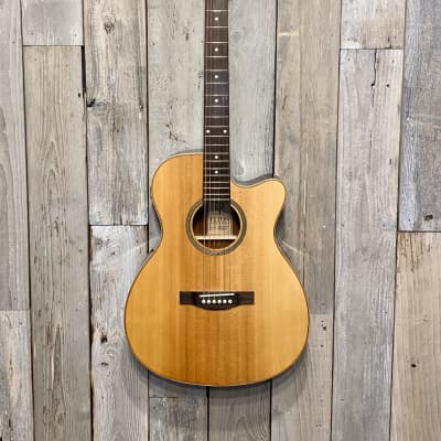Teton STG100CENT Spruce Cutaway Guitar Acoustic/Electric EXTRAS Help Support Small Business , Thanks image 2
