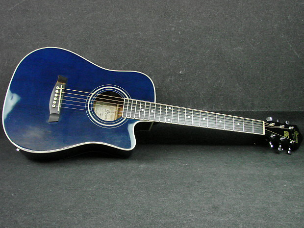 Ibanez daytripper shop