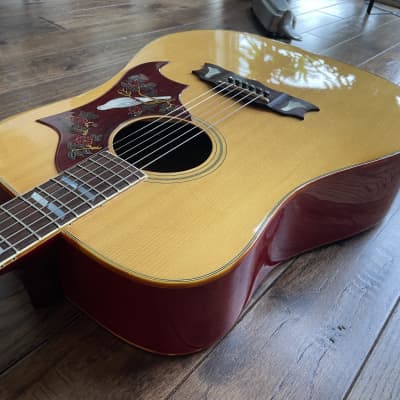 Vintage 1970s Aria WD35 Custom Dove Acoustic Guitar Natural Cherry