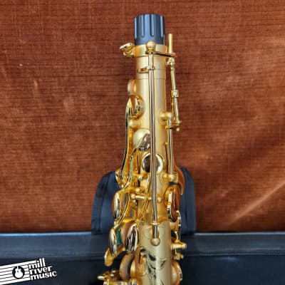 Steve Goodson Model Alto Saxophone Used w/ Case image 7