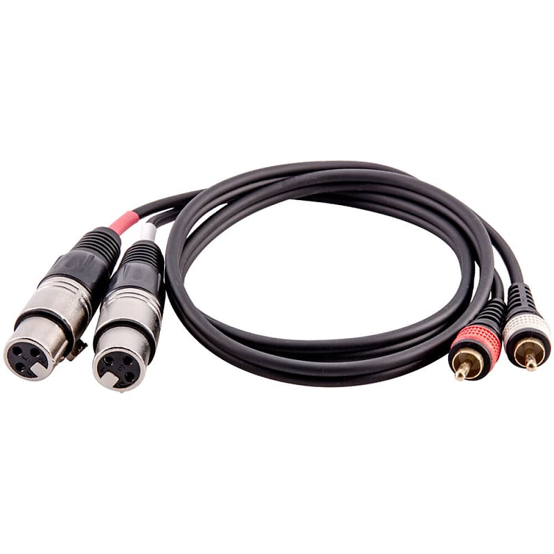 3 Foot 2 XLR Female to 2 RCA Male Patch Cable - Dual XLRF to | Reverb