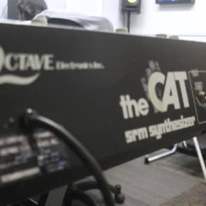 The Cat by Octave Vintage 37 Key Analog Duophonic Synthesizer image 18