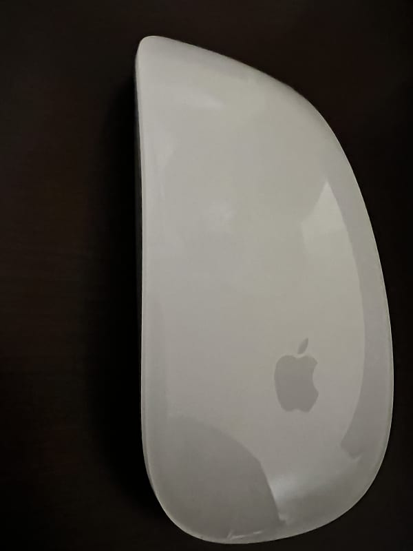 Apple Magic Mouse 2019 White Reverb